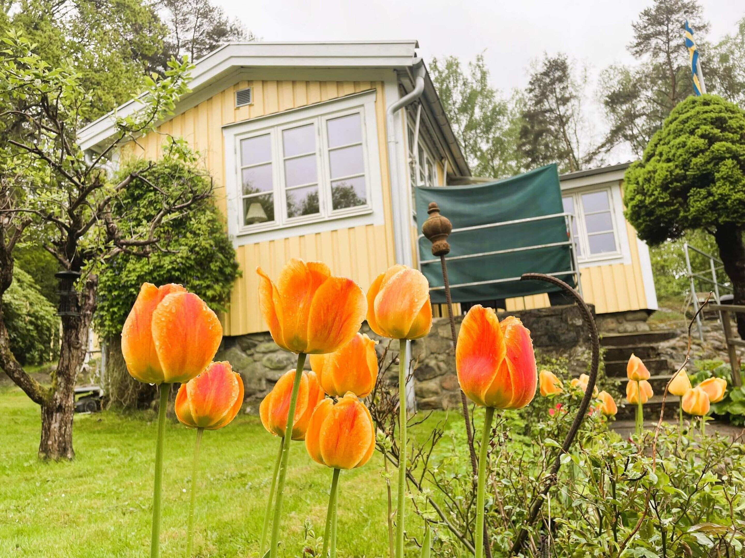 Hus | Exteriör