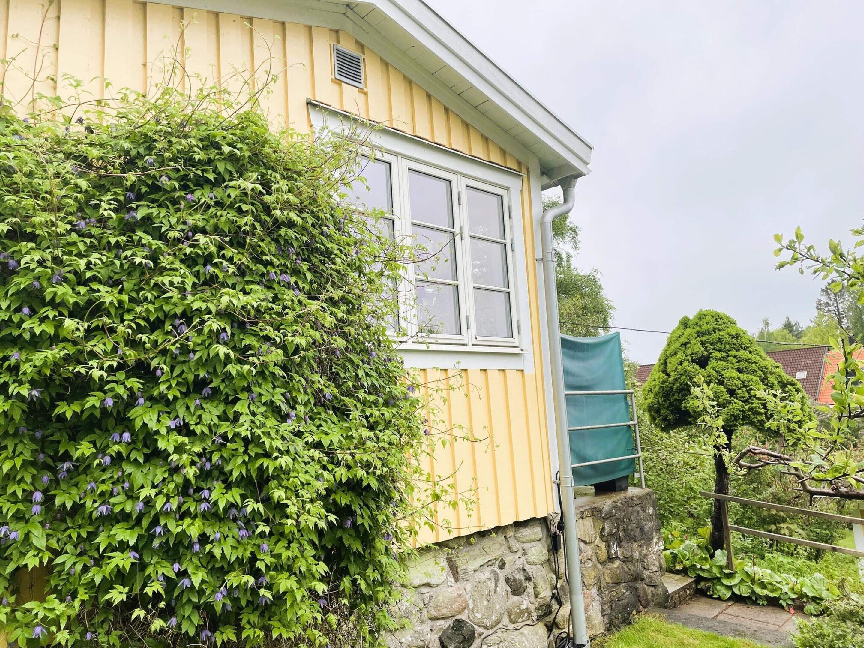 A house with a window, a stone wall, and a green bush.
