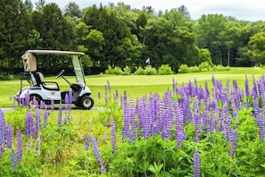 Ein Golfmobil auf einer Grünfläche mit lila Blumen im Vordergrund.