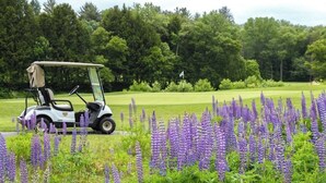 Une voiturette de golf sur un terrain de golf, avec des fleurs violettes au premier plan.