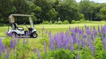 A golf cart on a golf course with purple flowers in the foreground.