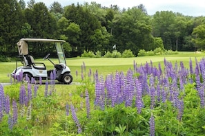 En golfbil på en golfbana, med lila blommor i förgrunden.