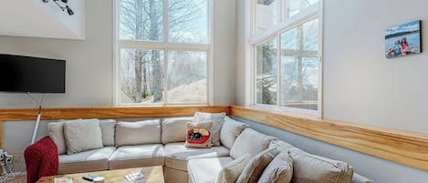 TV, fireplace, books