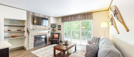 TV, fireplace, books