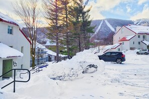 Property grounds - Convenient condo w/ mountain view, fireplace, near lift, ski locker, 1st floor (Warren)
