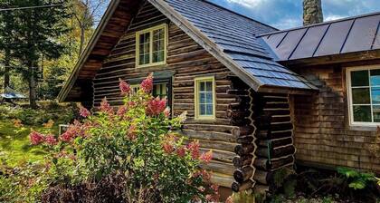 Quintessential wilderness retreat with mtn views & kayaks - dog-friendly