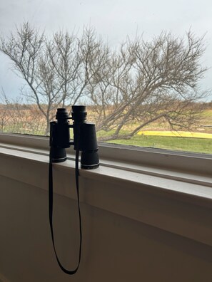 Blick von der Unterkunft
