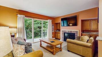 TV, fireplace, DVD player