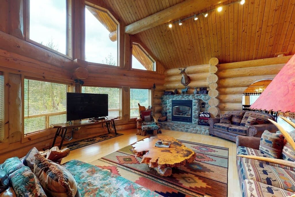 TV, fireplace, DVD player, books