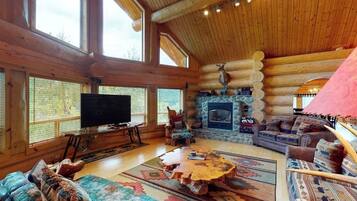 TV, fireplace, DVD player, books