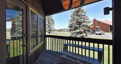 Dog-friendly studio with mountain views - near lakes, golf, ski area