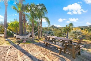 A picnic area with a hammock, wooden picnic table, benches, and palm trees. - Rancho Agave Azul Family Retreat Near Wine Country (Murrieta)