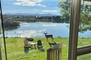 Ein See mit einem Reh, Stühlen und einem Tisch auf einer Wiese.