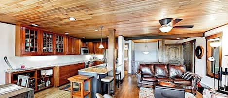TV, fireplace, DVD player, books