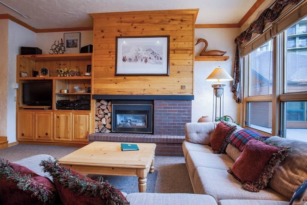 TV, fireplace, DVD player, books