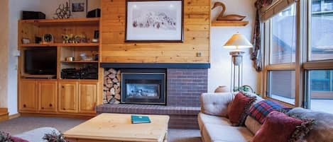 TV, fireplace, DVD player, books