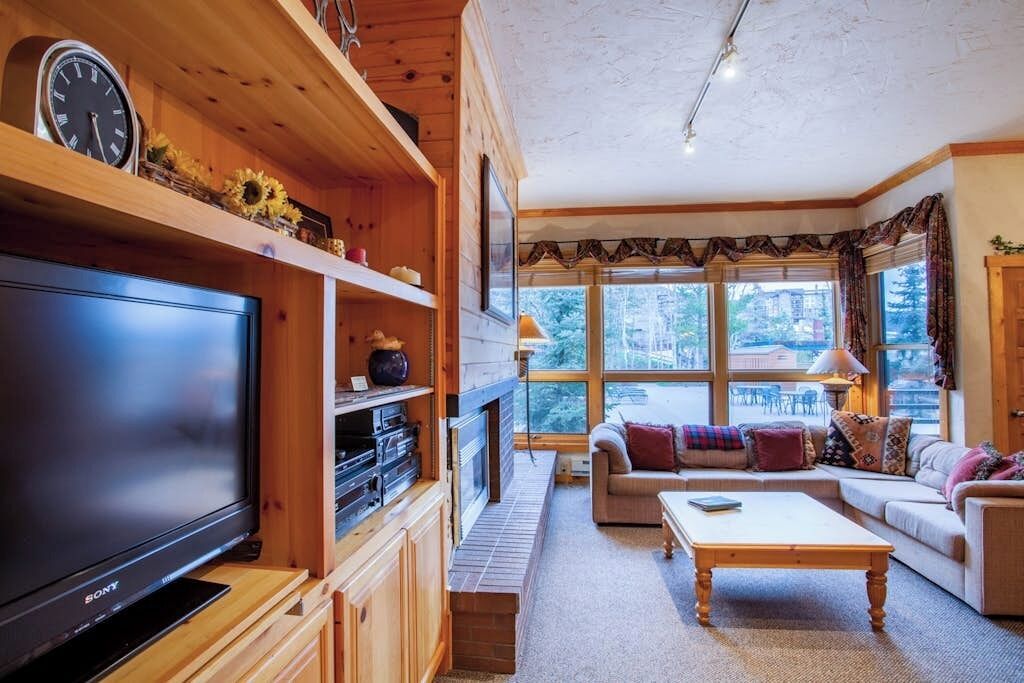 Televisión, chimenea, reproductor de DVD y libros 