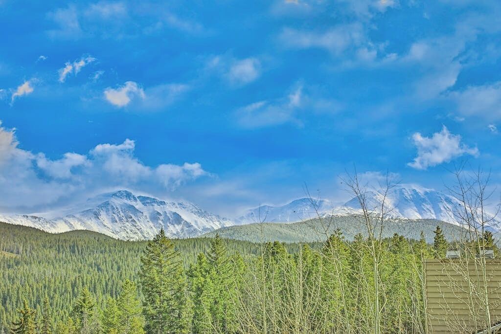 A mountainous landscape with snow-capped peaks, a forested area, and a small building.
