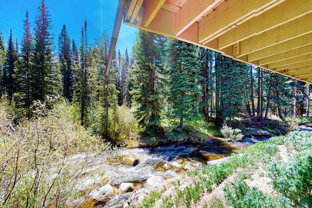 A forested area with a stream, a wooden structure, and a bridge.