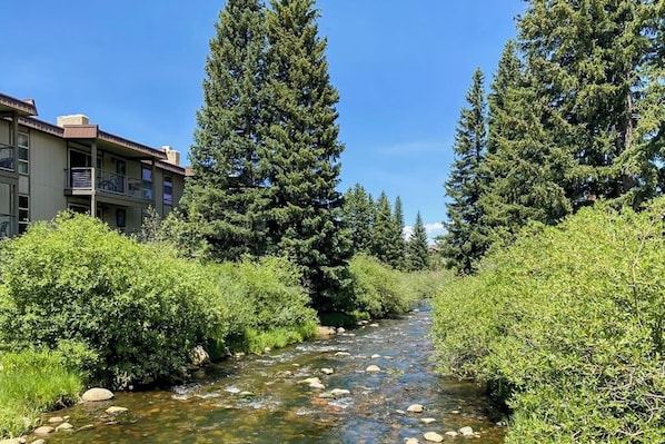 A river with rocks, surrounded by dense green vegetation and tall evergreen trees. - 3rdf-floor condo next to rec center with indoor pool, hot tubs, gym, fireplace (Winter Park)