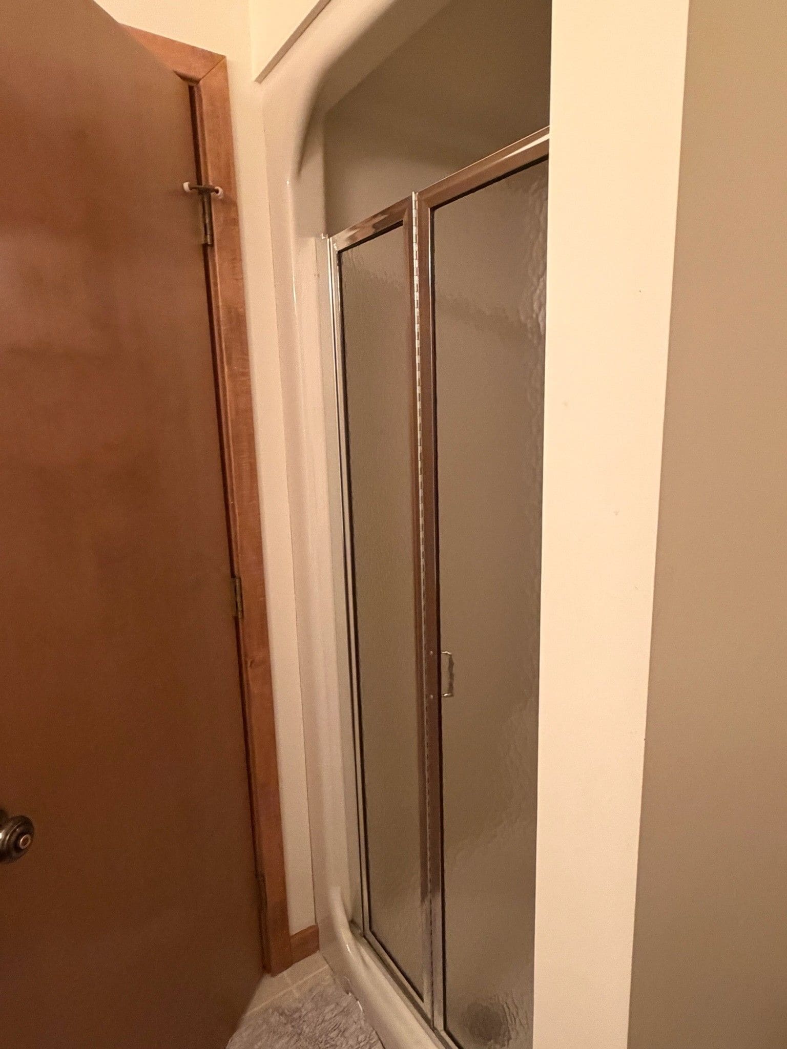 A corner of a room with a wooden door and a glass shower enclosure.