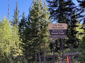 Wegweiser für den Lily Pad Trailhead im White River National Forest.