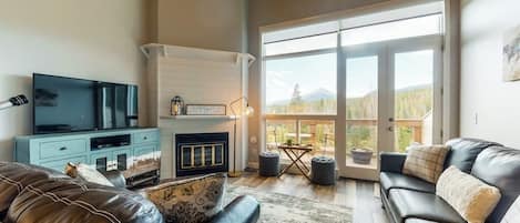TV, fireplace, books