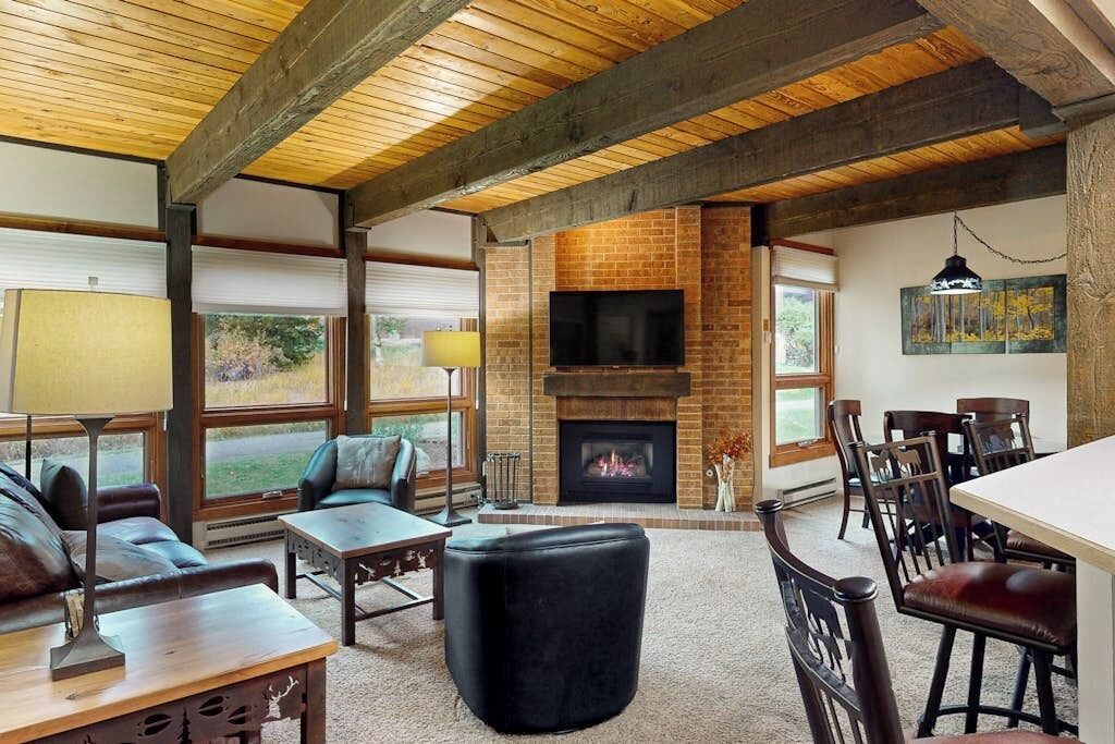 TV, fireplace, DVD player