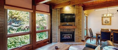 TV, fireplace, DVD player, video library
