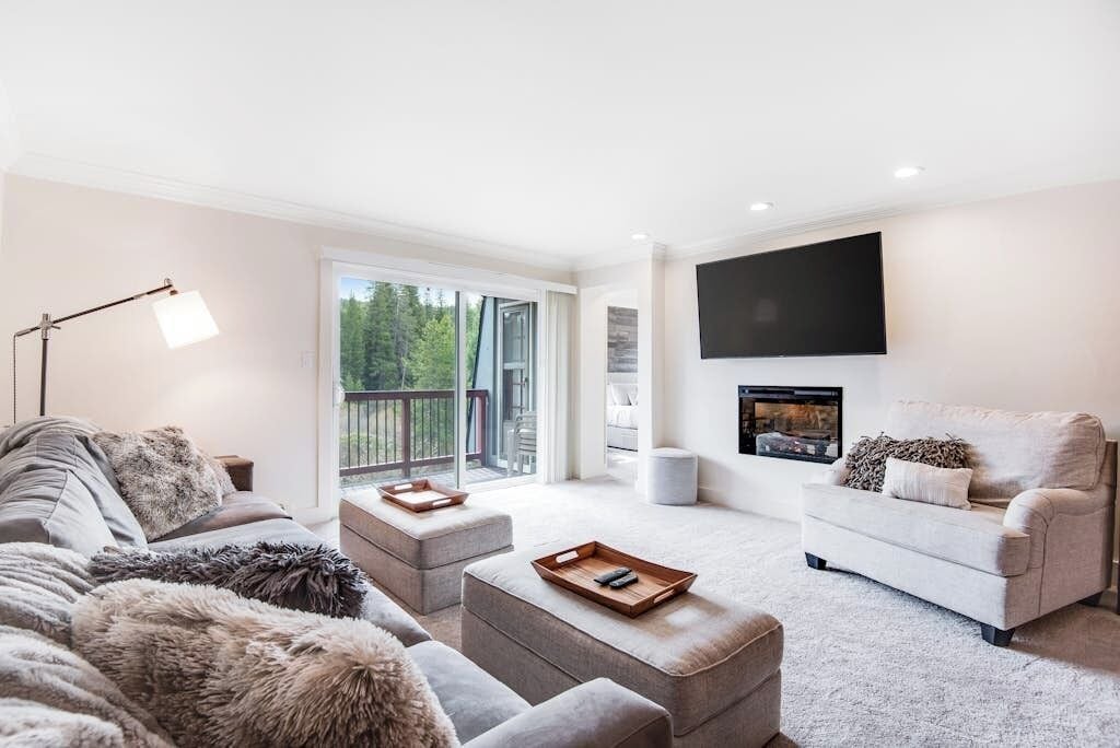 TV, fireplace, books