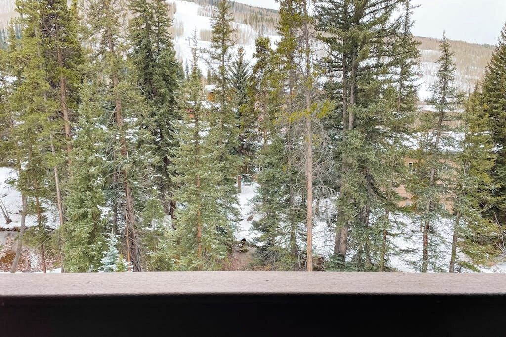 A view of tall evergreen trees with snow on the ground, likely in a mountainous area.