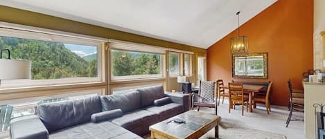TV, fireplace, DVD player, books