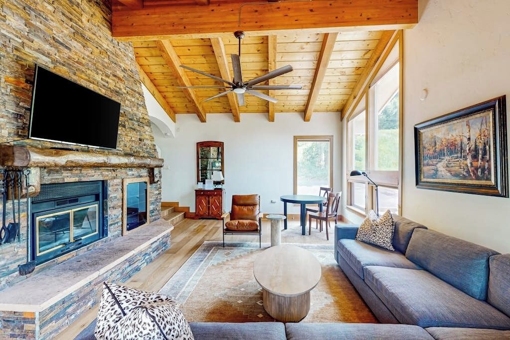 TV, fireplace, DVD player, books