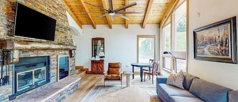 TV, fireplace, DVD player, books