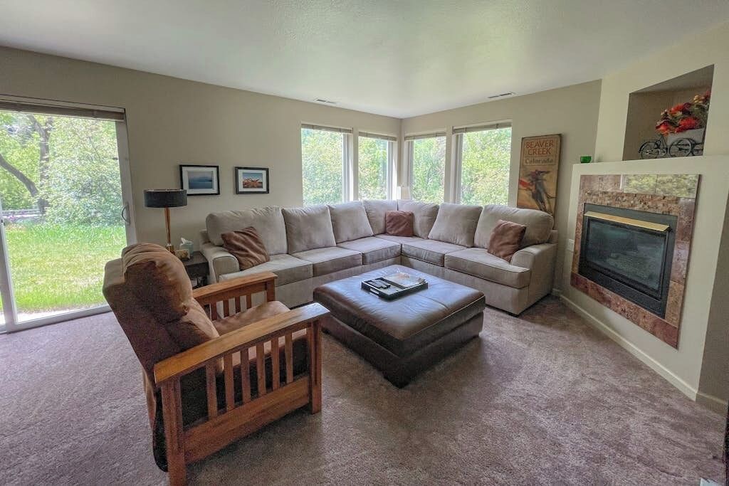 TV, fireplace, DVD player, books