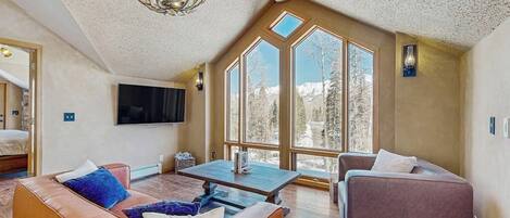 TV, fireplace