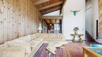 TV, fireplace, DVD player, books
