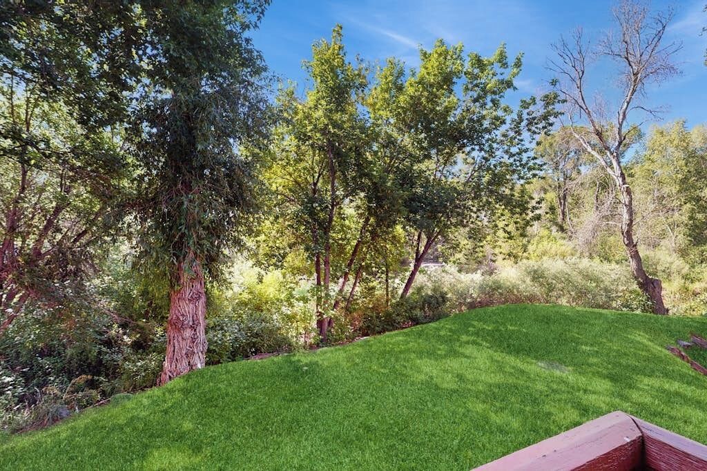 A grassy area with trees and a wooden bench.