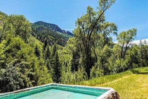 Ein Pool mit Bergblick, umgeben von dichtem Wald.