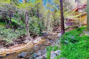 A forested area with a stream, rocks, and a building with a staircase. - Dog-friendly water-view home near Lake Gregory with game room, fireplace, grill (Crestline)