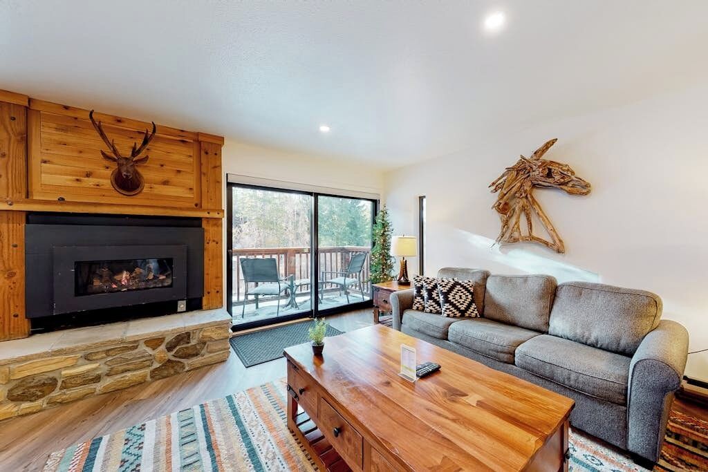TV, fireplace, DVD player, video library