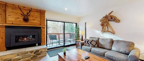 TV, fireplace, DVD player, video library