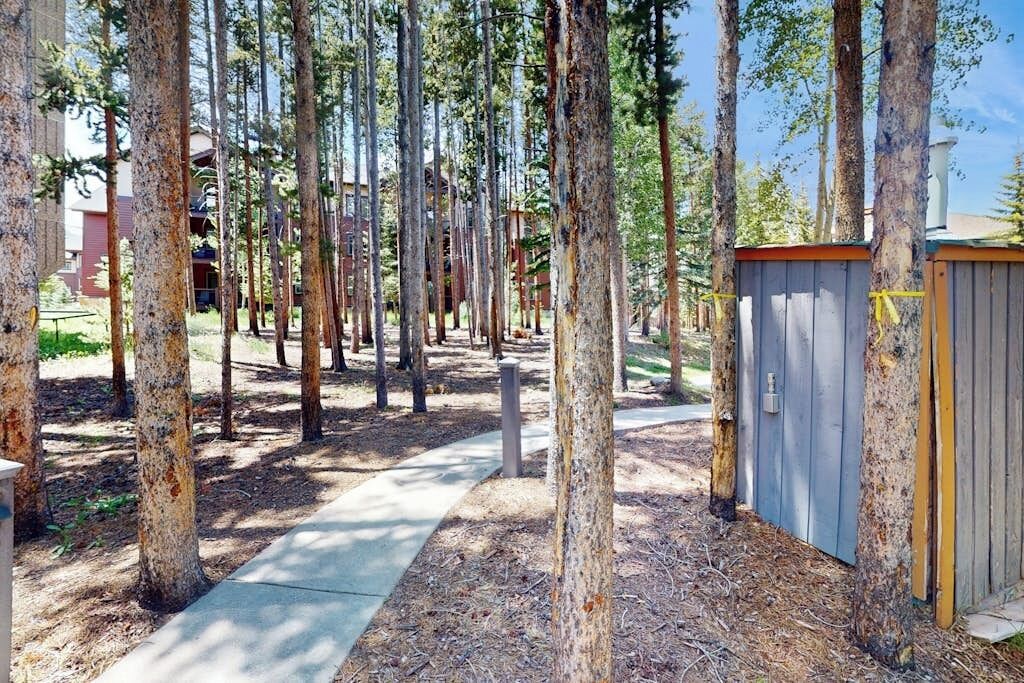 Un sendero bordeado por árboles altos, un cobertizo de madera y un edificio al fondo.