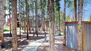 Un sentiero circondato da alberi alti, un capanno di legno e un edificio sullo sfondo.