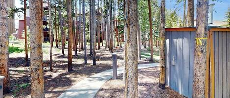 Un sendero bordeado por árboles altos, un cobertizo de madera y un edificio al fondo.