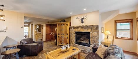 TV, fireplace, DVD player, books