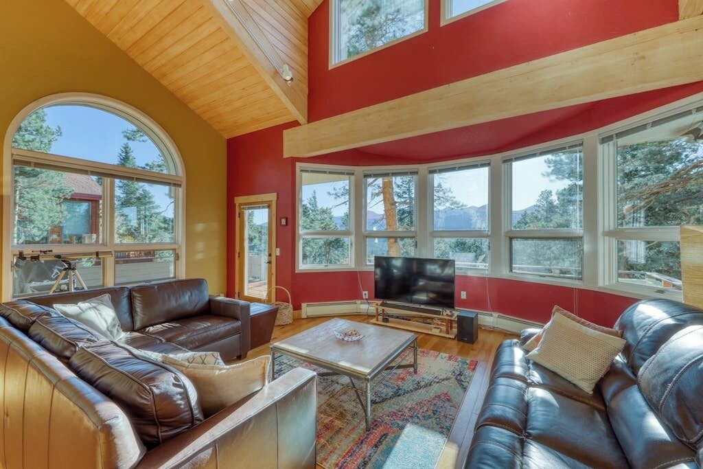 TV, fireplace, books