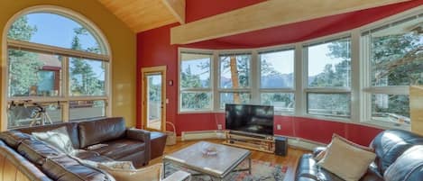 TV, fireplace, books