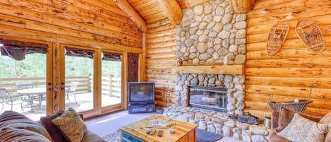TV, fireplace, DVD player, books