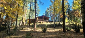 A cabin in a forest with a deck and a covered porch. - Tree House View Cabin 3 Bedroom 3 Bath, Borders National Forest in Alpine AZ (Alpine)